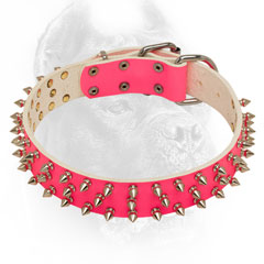 Leather pink Cane Corso collar triple spiked