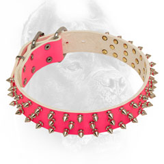 Decorated pink nickel spiked leather dog collar for lady-Corso