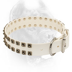 steel nickel plated D-ring and buckle