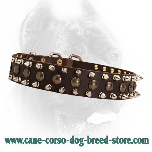 Pin by Asia on Ruff  Studded leather, Black leather collar, Leather dog  collars