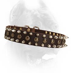 Wonderful leather dog collar with spikes