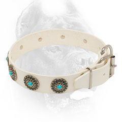 Conchos adorned white leather dog collar for walking