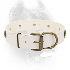 Leather dog collar white easy adjustable with buckle