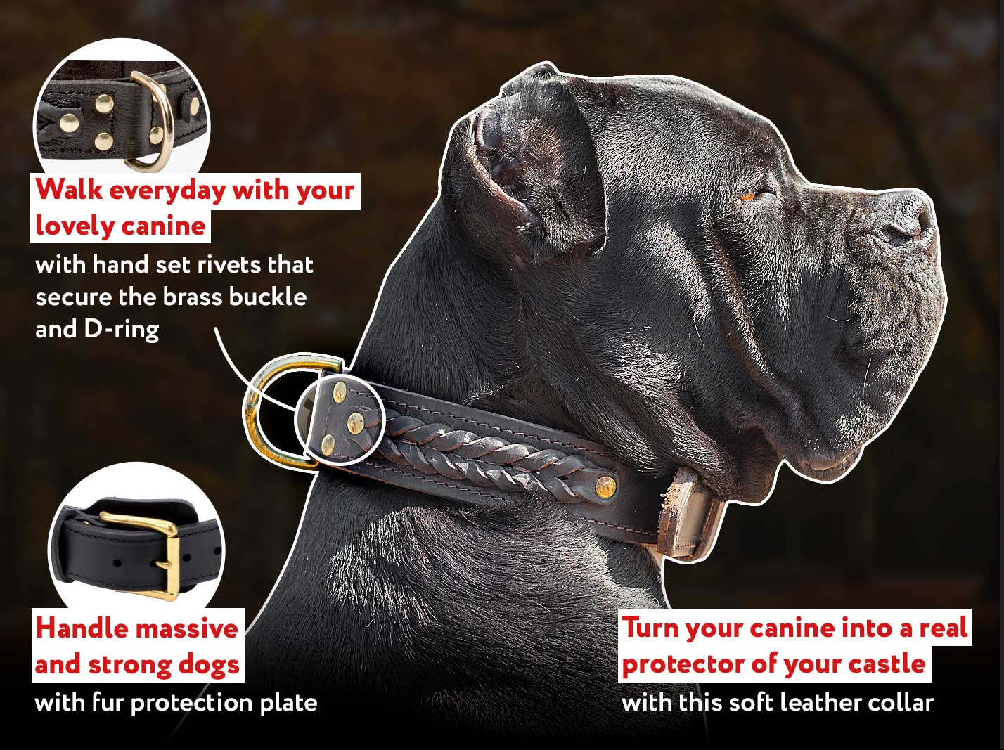 Designer Leather Dog Collars & Leashes
