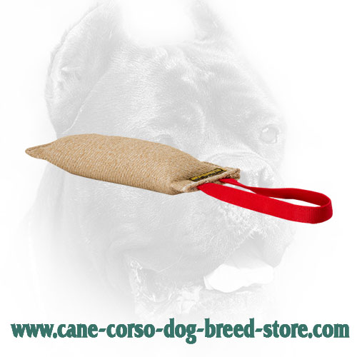 Jute Newfoundland Bite Tug for Puppy Training