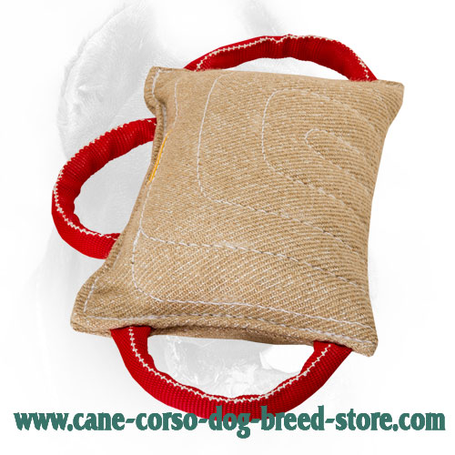 thumbnail image 2 of Buy Dog Tug Bite Pillow Jute Bite Chewing Fetch Toy Puppy Training Interactive Play Online At 2 of 11