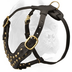 Durable leather dog harness with studs
