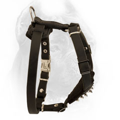 Cane Corso Harness with Padded Chest and Straps