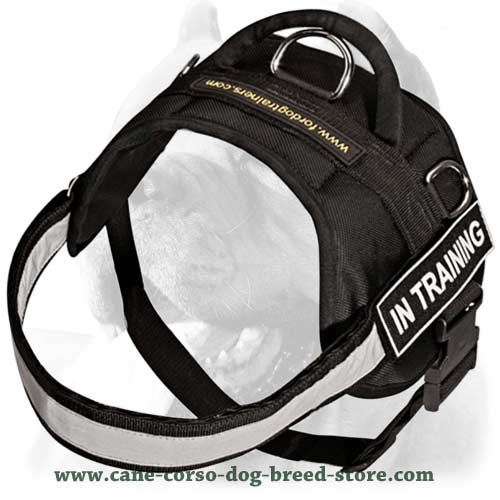 tactical dog harness with handle