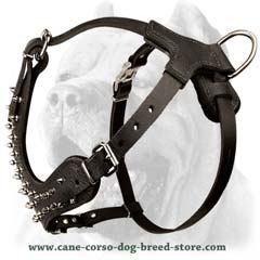 Very comfortable designer dog harness 