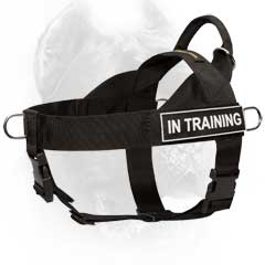 Easy to put-on and take-off nylon strongest harness