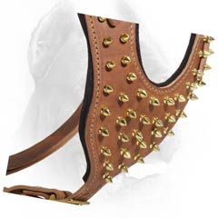 Unique leather dog harness with spikes