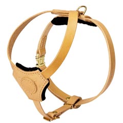 Leather comfortable everyday puppy harness