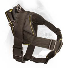 High quality nylon dog harness for Cane Corsos