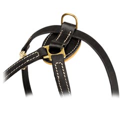 Soft padded everyday leather training dog harness