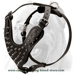 Top quality stylish leather dog harness