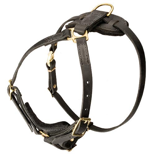 NH16 - Personalized Leather Dog Harness with Skulls