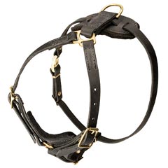 Super comfortable leather dog harness