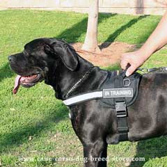 Extra strong nylon tracking harness