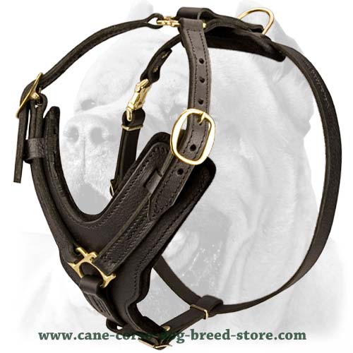 best harness for pulling