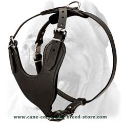 Padded versatile designer leather harness