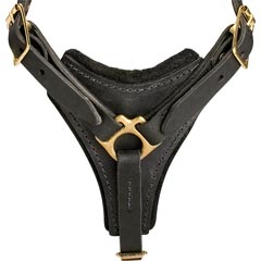 Non-restrictive fashion leather harness