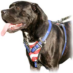 Attractive hand painted leather dog harness