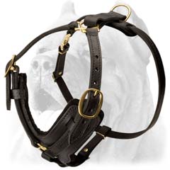 Special leather dog harness