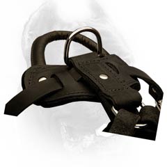 Training dog harness with upper control handle