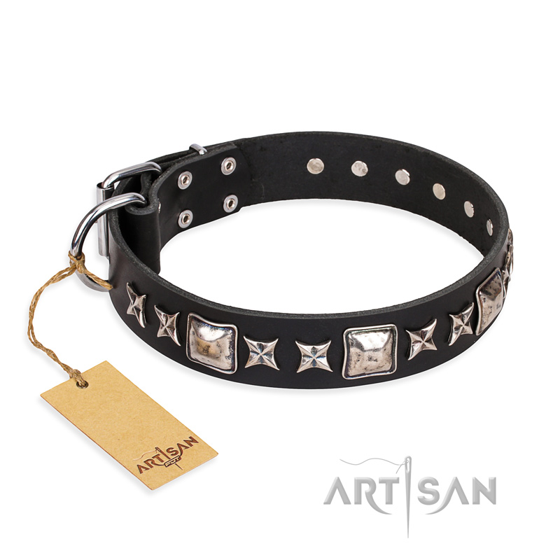 'Space Walk' FDT Artisan Stunning Black Leather Cane Corso Collar with Adornments