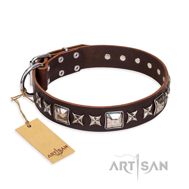 'Perfect Impression' FDT Artisan Cane Corso Brown Leather Dog Collar with Silvery Square Studs - 1 1/2 inch (40 mm) Wide