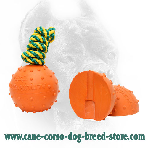 Medium Water Floating Rubber Cane Corso Ball with Nylon Rope