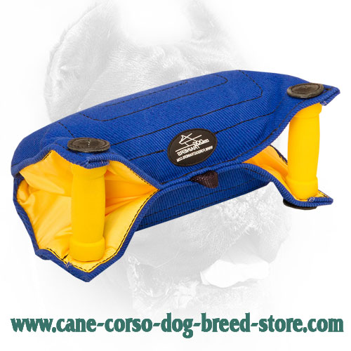 French Linen Cane Corso Bite Builder for Basic Puppy Training