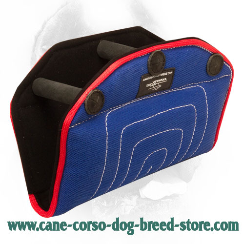 Durable French Linen Cane Corso Bite Builder for Dog Training