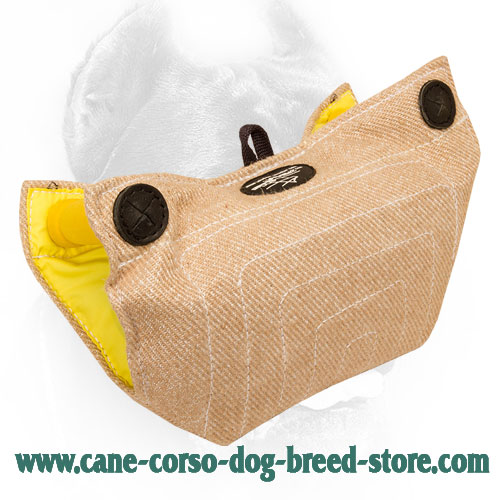 Tear Resistant Jute Cane Corso Bite Builder for Puppy Training