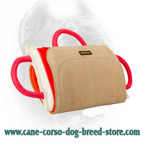 Pro Cane Corso Bite Pillow with Leather Cover