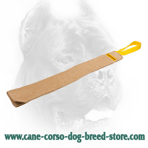 Jute Cane Corso Bite Rag for Stimulating Prey Drive