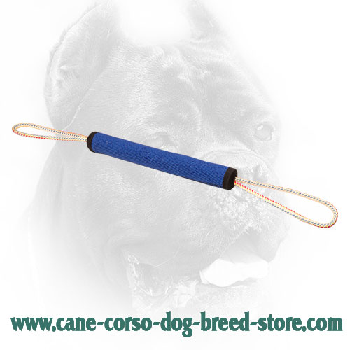 French Linen Cane Corso Bite Roll for Puppies and Young Dogs
