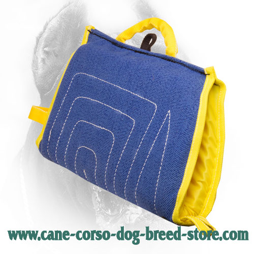 Puppy French Linen Cane Corso Bite Sleeve