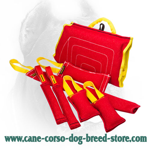 French Linen Cane Corso Bite Training Set (7 Dog Supplies)