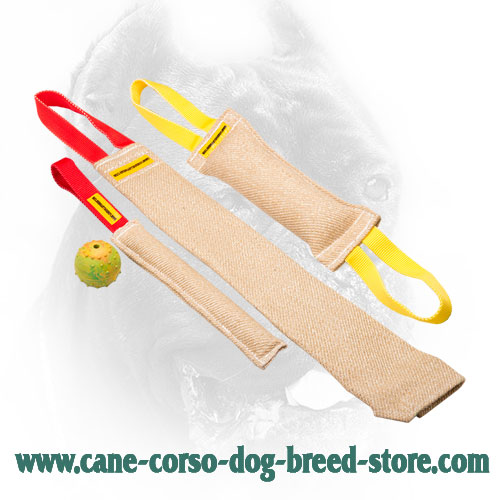 Jute Cane Corso Bite Training Set (4 Dog Items)