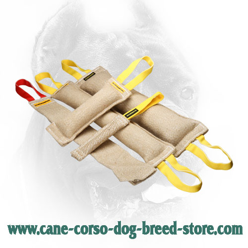 Jute Cane Corso Bite Training Set of 5 Tugs for Adult Dogs