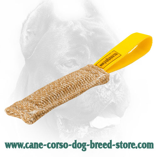 High Quality Jute Bite Tug for Puppy Training