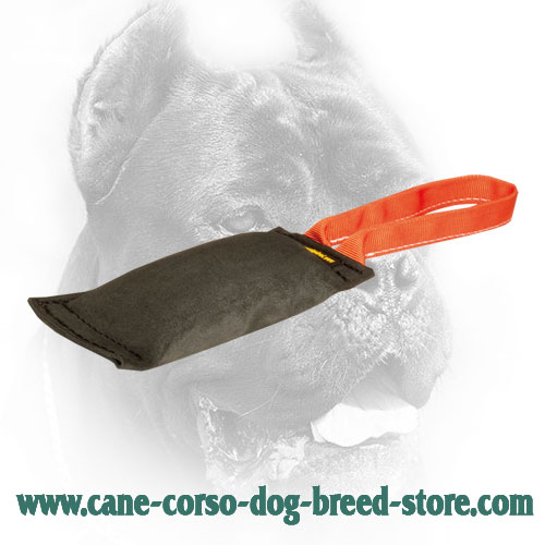 Leather Cane Corso Bite Tug for Stimulating Prey Drive