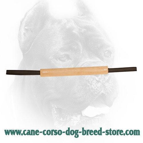 Hard Leather Cane Corso Bite Tug For Training