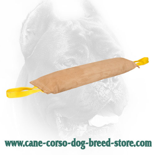 Large Stitched Leather Cane Corso Bite Tug with Handles