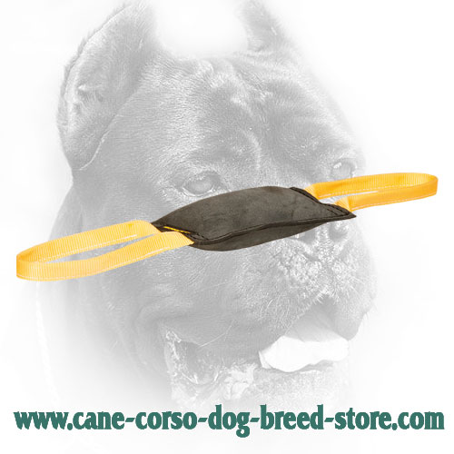 Comfy in Use Leather Cane Corso Bite Tug for Young Dog Training - Click Image to Close