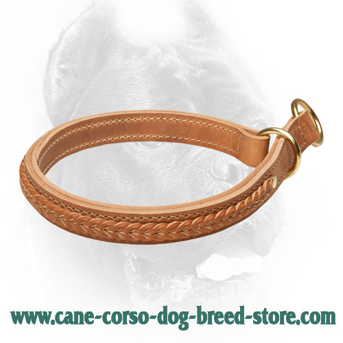 Gorgeous 2 Ply Leather Choke Cane Corso Collar