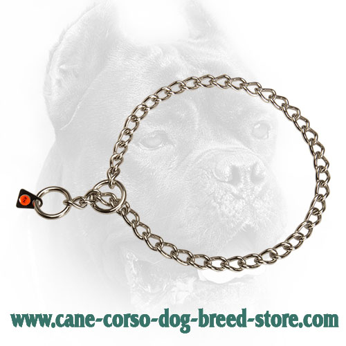 Stainless Steel Cane Corso Choke Collar with 3 mm Links