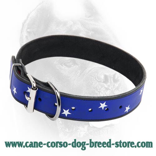 Amazing Patriotic American Flag Dog Collar for Cane Corso